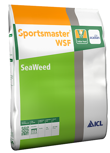 Sportsmaster WSF SeaWeed